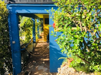 A vibrant outdoor space featuring landscaping and pathways.
