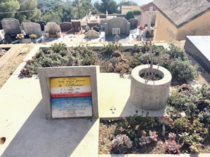 A cemetery scene with various gravestones and tombs in the background. The foreground features a grassy grave plot with an inscription on a stone marker. The grave plot includes a concrete structure with a small cross placed on it, surrounded by succulent plants.