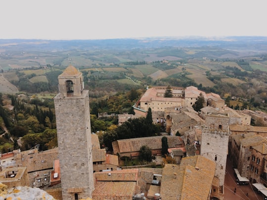 aerial view of town during daytime in Town Hall, Torre Grossa Art Gallery Italy