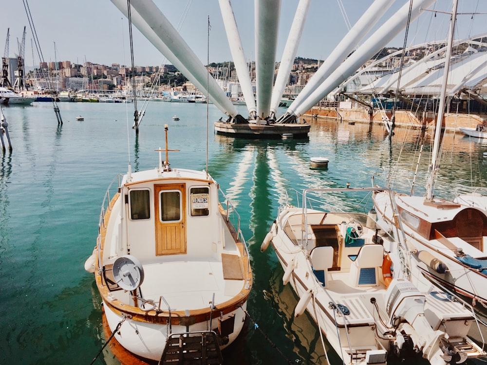 3 boats moored in dock