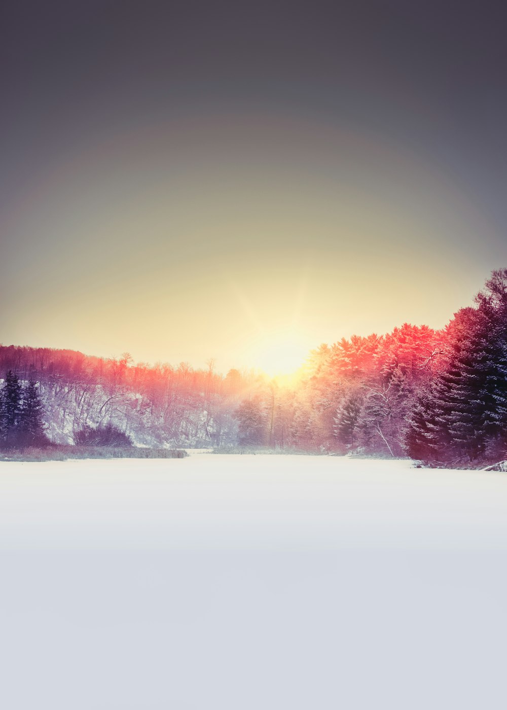 white ice covering the river lined with trees during sunset