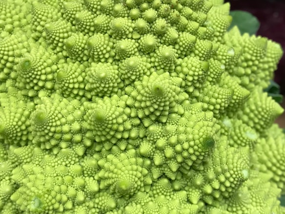 A close-up view of a Romanesco broccoli featuring its unique fractal pattern and intricate green spirals that form a mesmerizing geometric design.