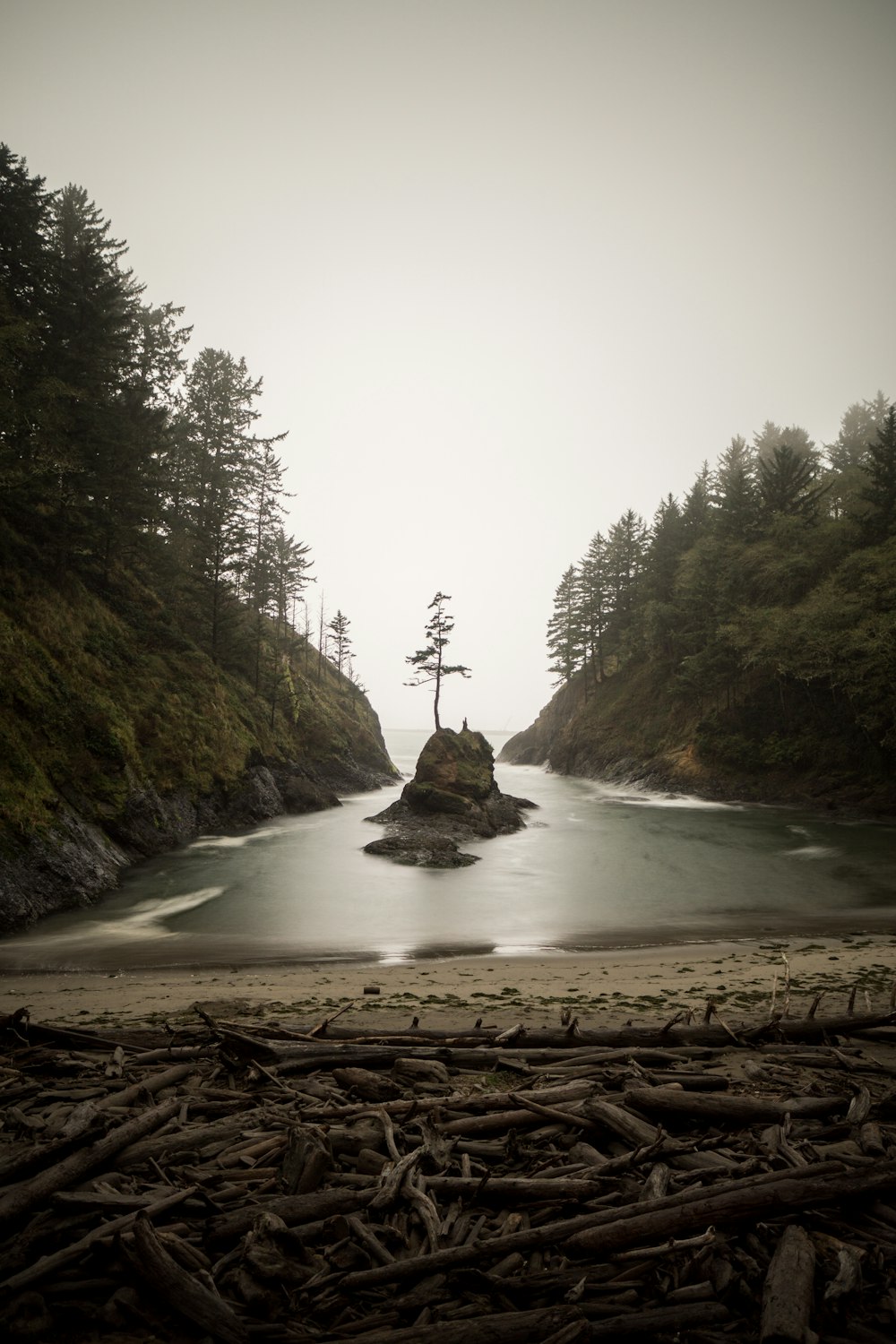 small tree on rock formation between body of water during daytime