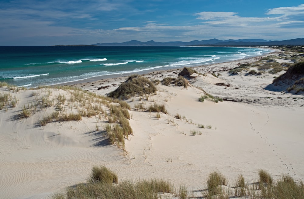 high-angle photography of beach under clear blue sky