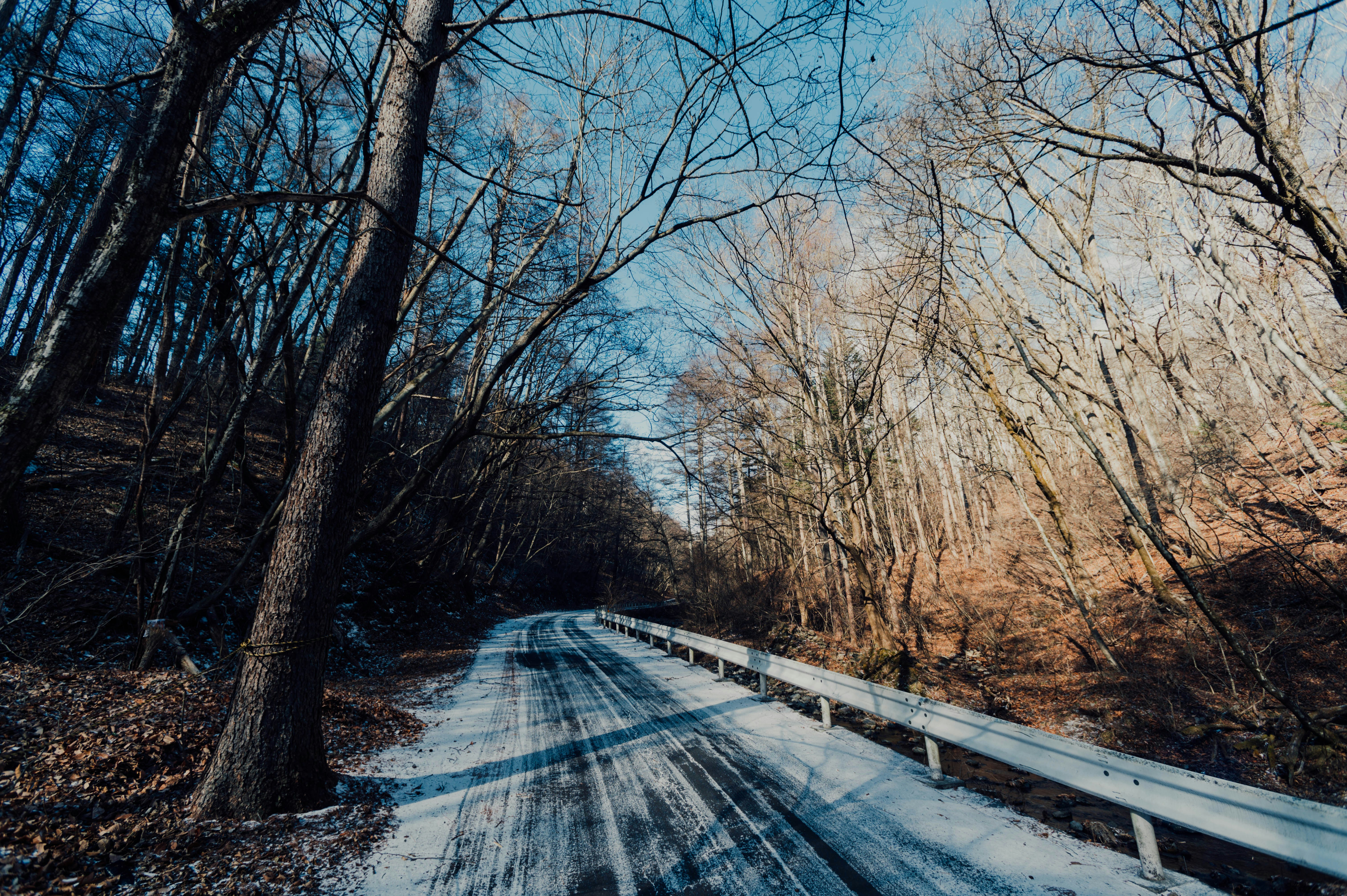 Photo by chuttersnap