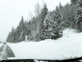 A snowy landscape features tall evergreen trees covered in snow, with a sign reading 'The City of Nelson Welcomes You' standing on the right side. A road runs through the scene, partially cleared of snow, with a vehicle driving away in the distance. The area is covered with a thick layer of snow, and the sky appears overcast.