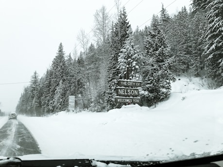 A snowy landscape features tall evergreen trees covered in snow, with a sign reading 'The City of Nelson Welcomes You' standing on the right side. A road runs through the scene, partially cleared of snow, with a vehicle driving away in the distance. The area is covered with a thick layer of snow, and the sky appears overcast.