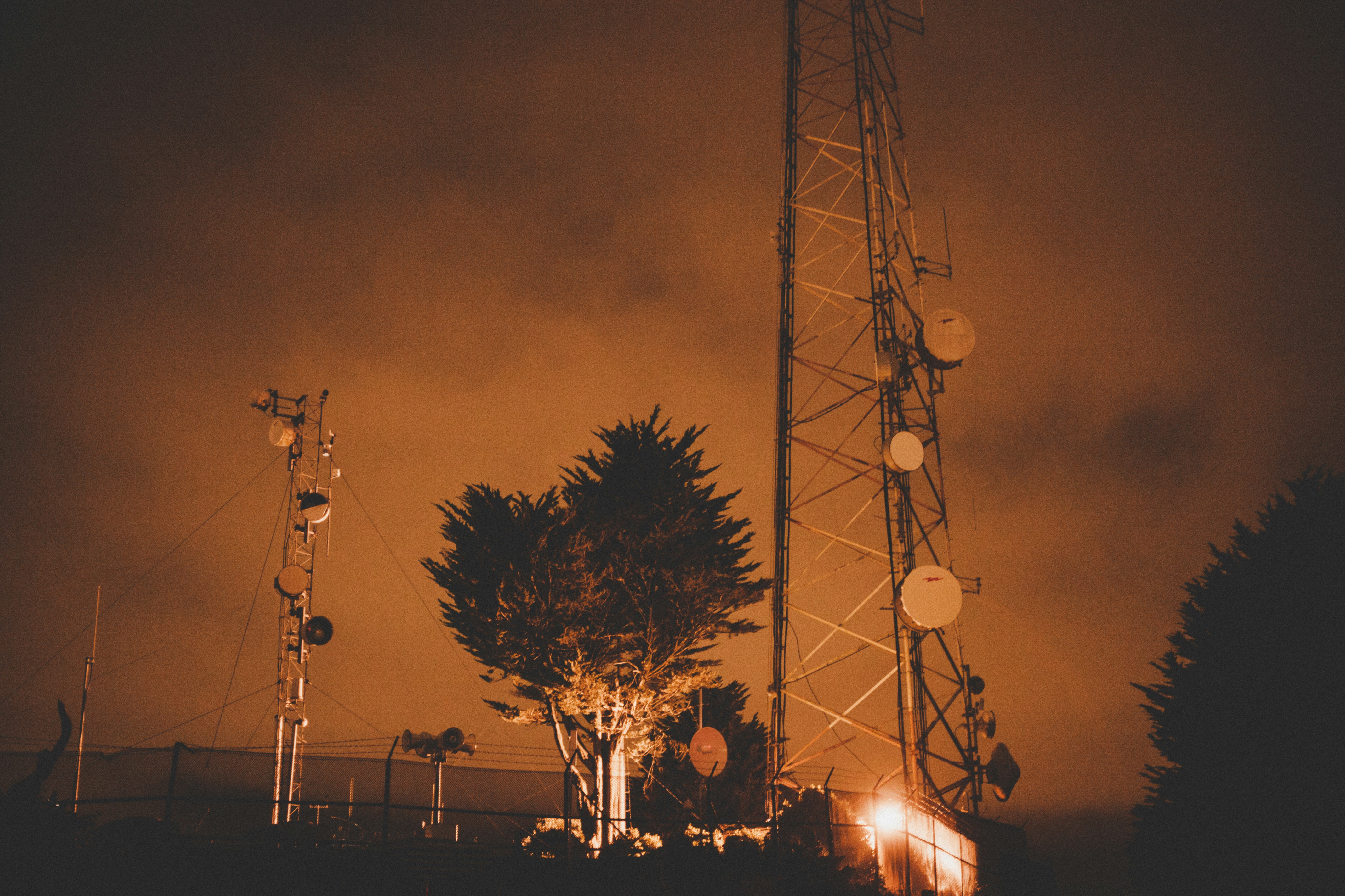 low-angle photography of green tree between transmission towers during night