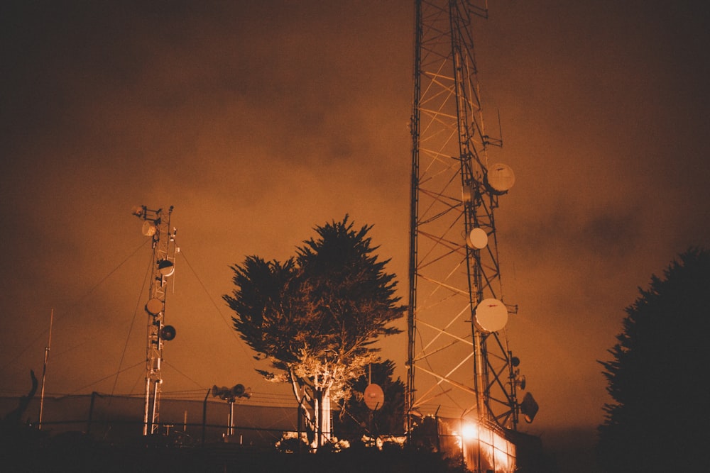 low-angle photography of green tree between transmission towers during night