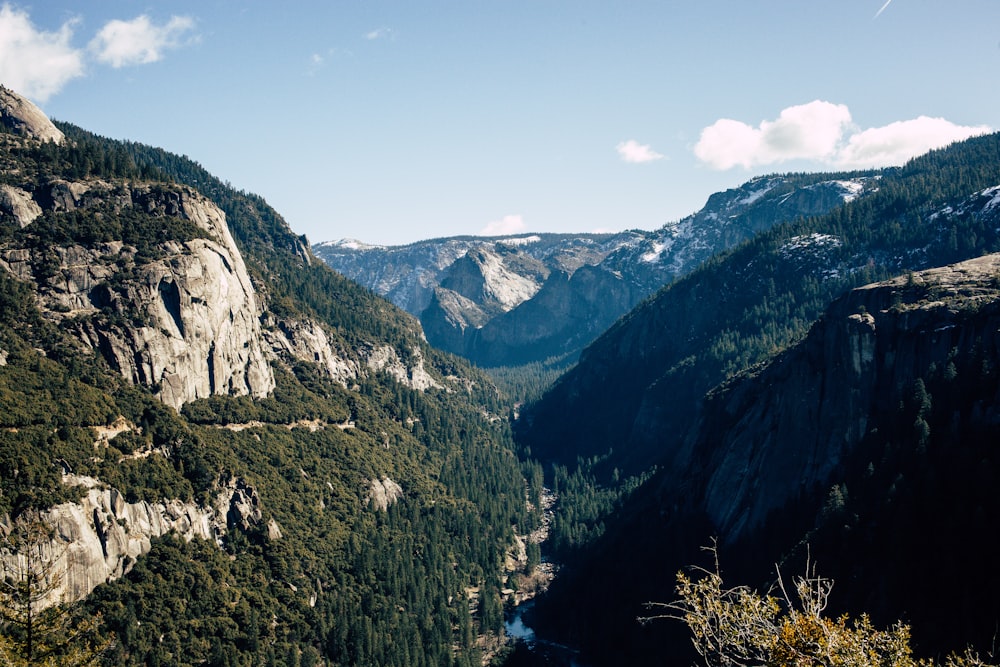 high-angle photography of mountain range covered with green trees