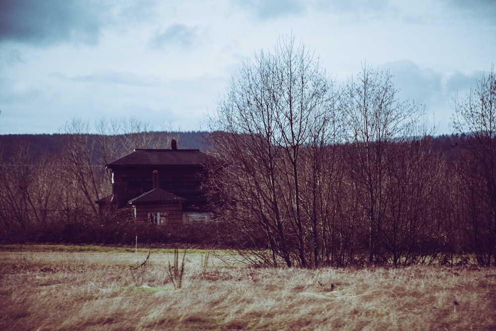 Haus 2-stöckiges Haus umgeben von verdorrten Bäumen