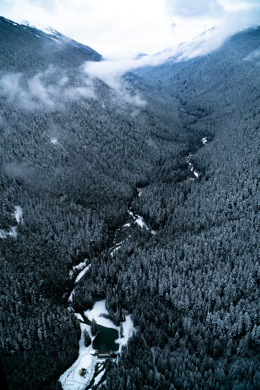 bird's-eye view of river