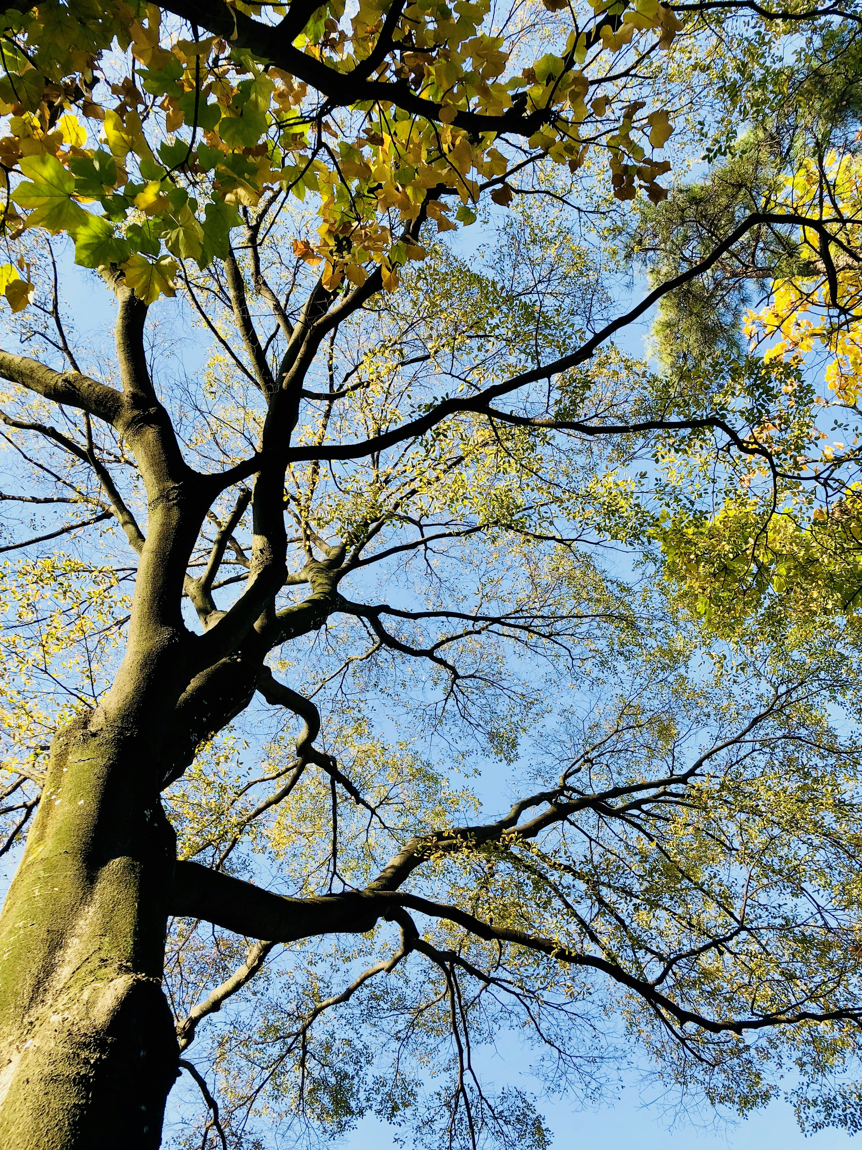 Photo by yxjyxjyxj123