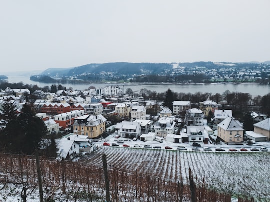 snow covered houses near river in Bad Honnef Germany