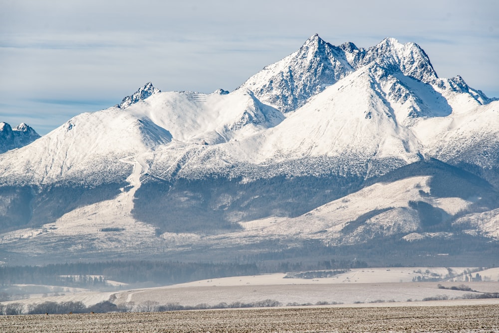 Sommet enneigé de la montagne