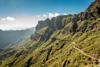 aerial photo winding road