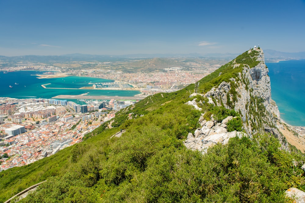 Árvores verdes cobertas montanha