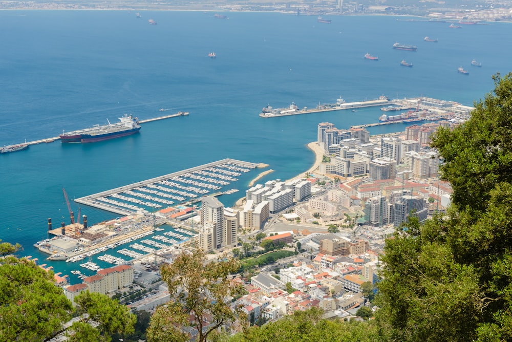 aerial photography of city skyline by the sea during daytime