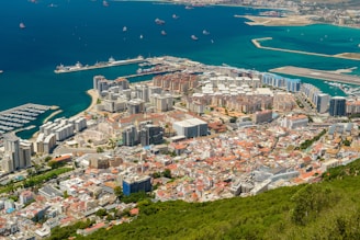 city by the beach at daytime