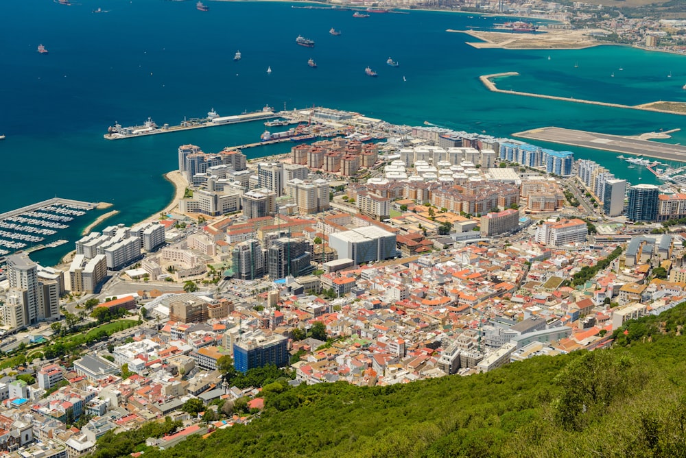 city by the beach at daytime