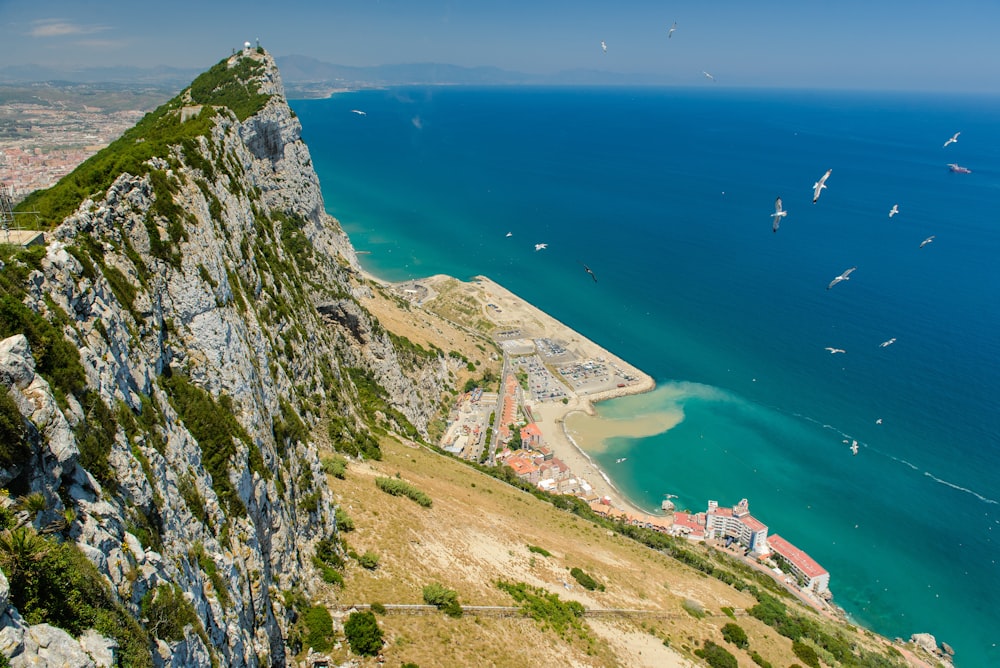 cliff beside seashore