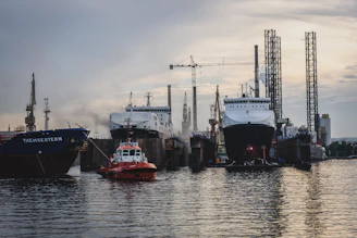 boats moored in dock