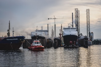 boats moored in dock