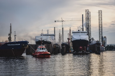 boats moored in dock