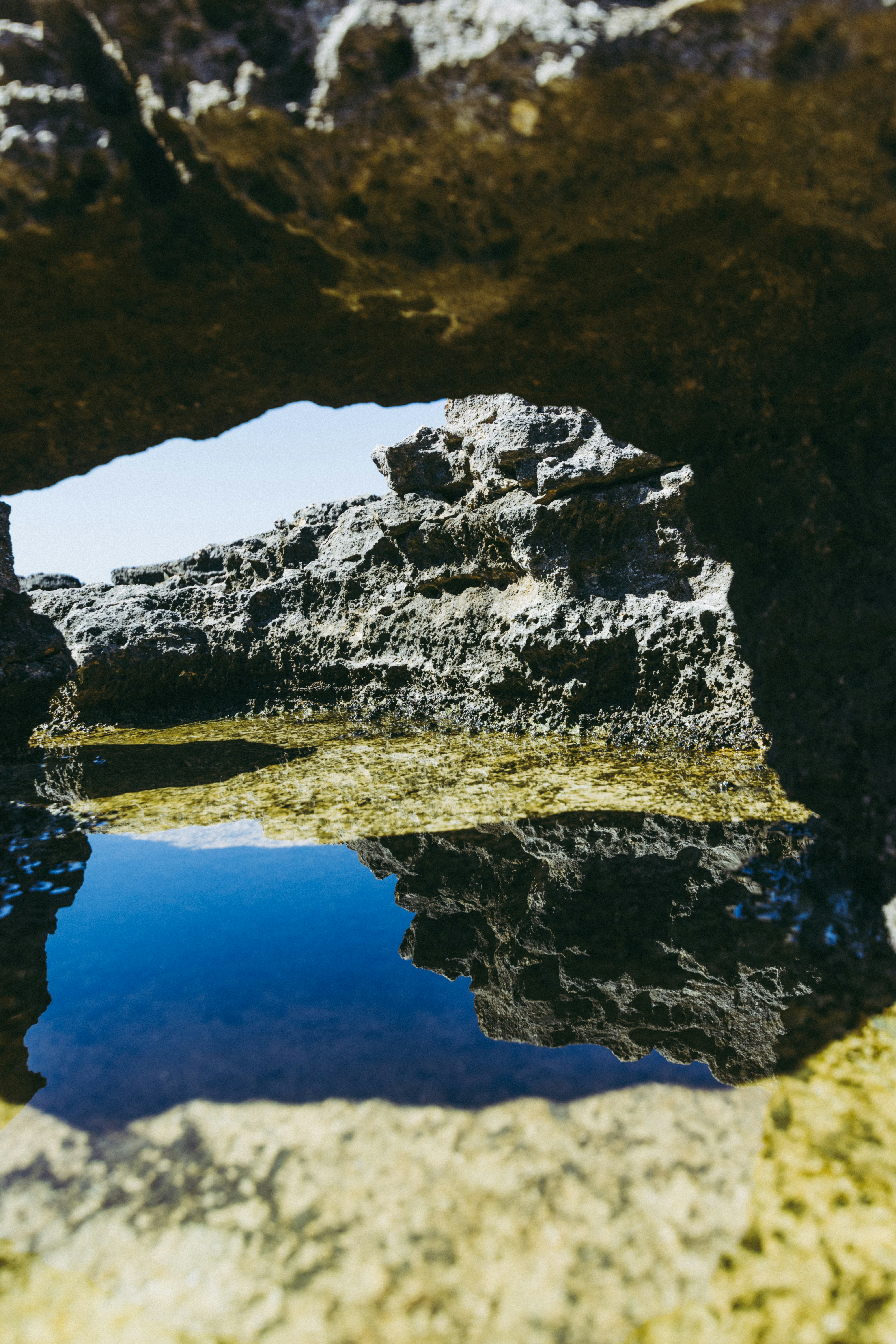 Photo by janoschlino