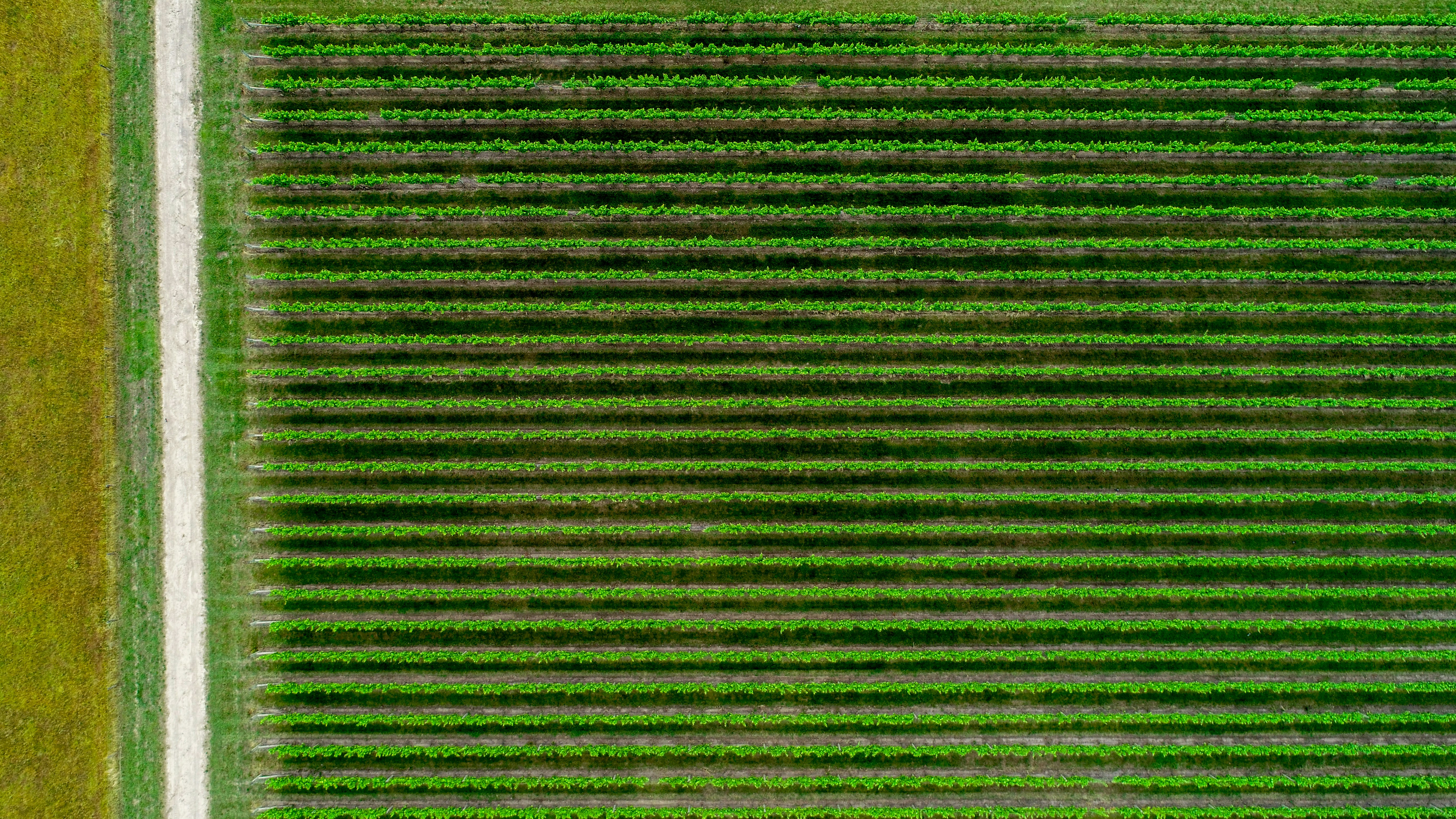 Flying over countryside