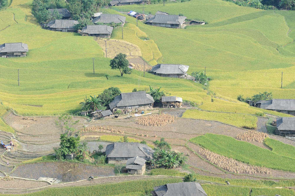 Fotografia aérea de casas em campo de grama verde