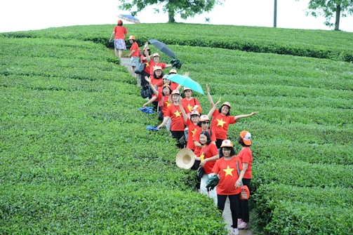 A group of people wearing matching red shirts adorned with yellow stars are arranged in a long line, walking through lush green tea plantations. Many are smiling and gesturing cheerfully towards the camera, and some hold umbrellas to shield from the sun. The tea fields create a textured pattern across the landscape.