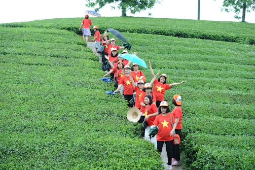A vibrant photo showing a group of team members wearing custom-designed t-shirts in Kerala's lush outdoor setting.