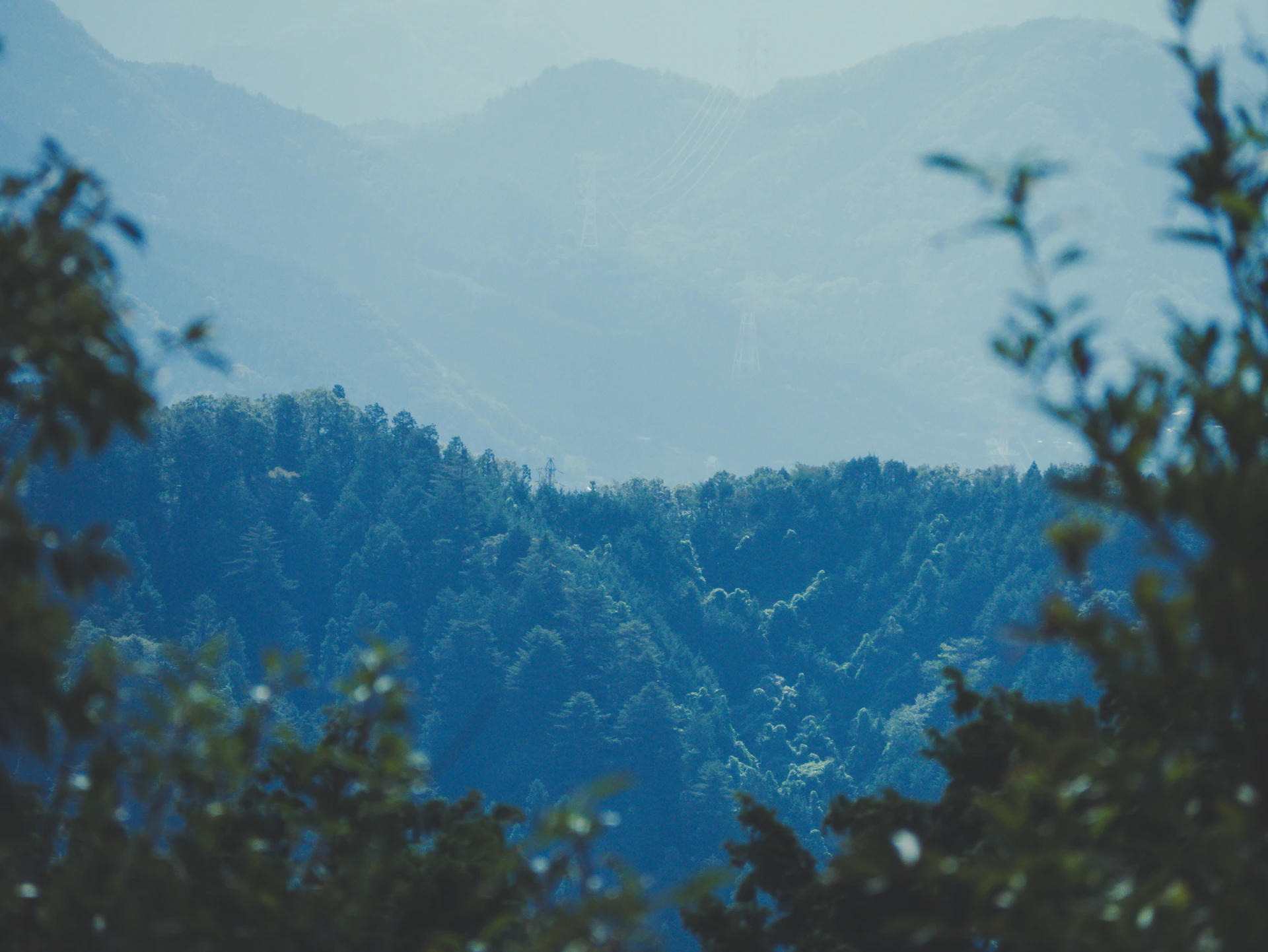 A serene view of Rwanda’s lush green hills with a family of mountain gorillas moving quietly through the forest.