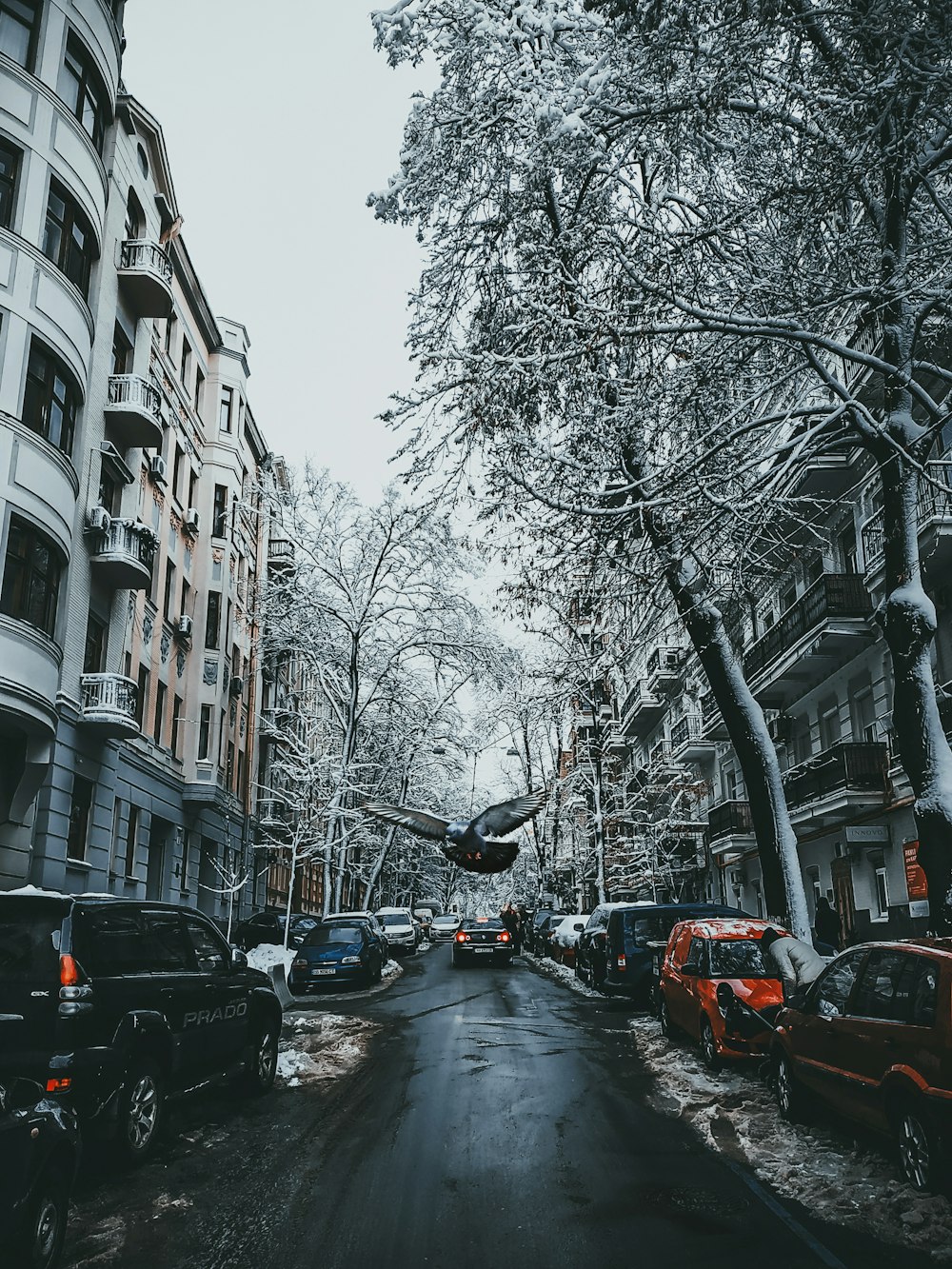 cars parked near buildings