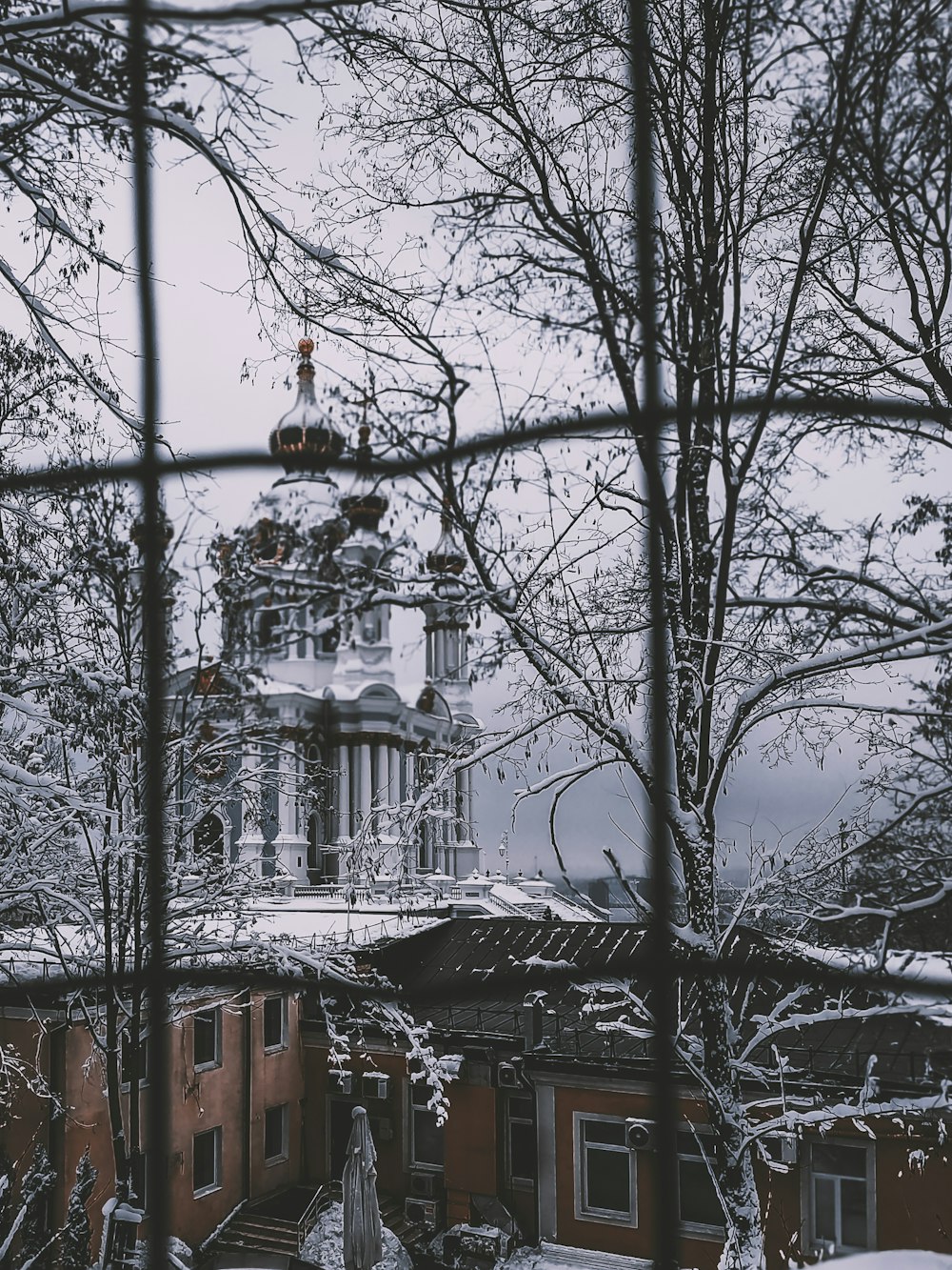 brown house near trees