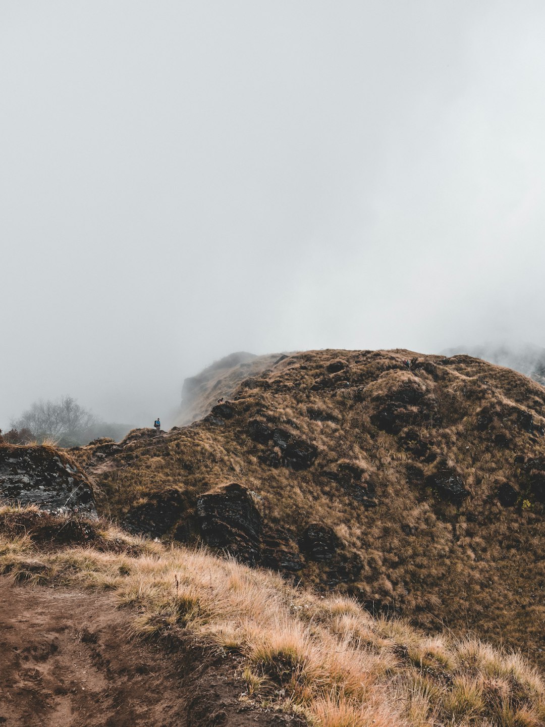 hill covered with mist