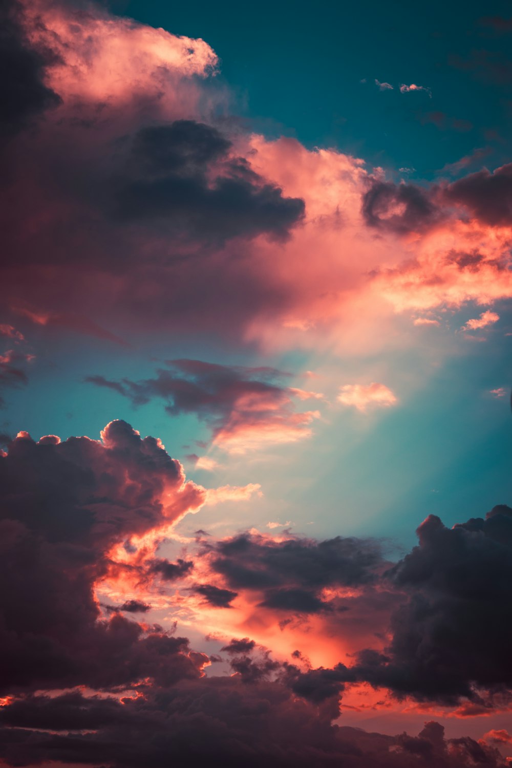로우 앵글 사진 골든 아워의 주황색과 검은 구름