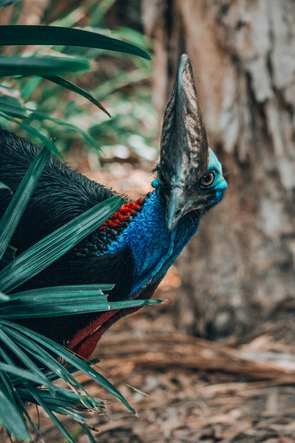 green and blue bird figurine