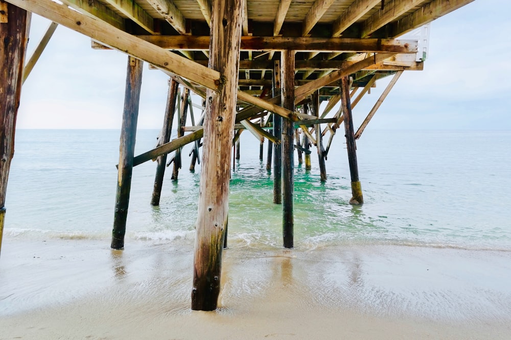 brown wooden dock bay