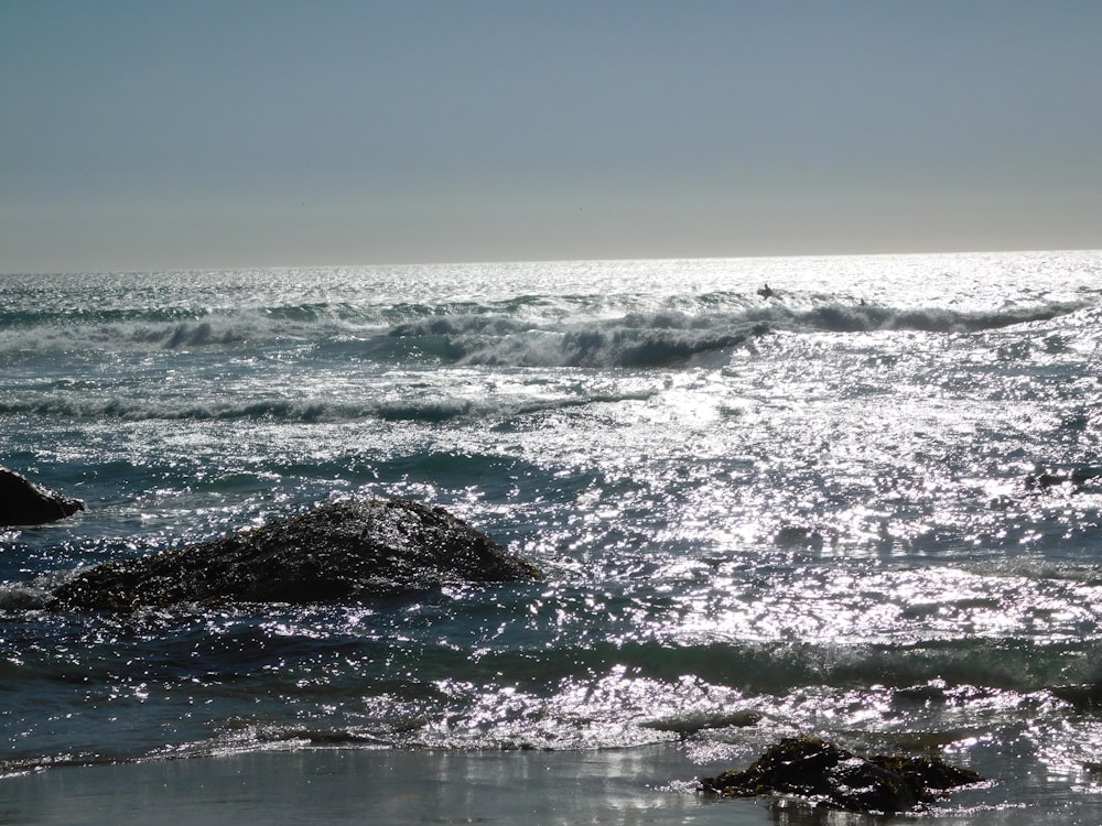 seashore and brown stone