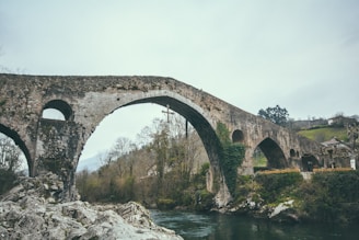 brown stone bridge photo