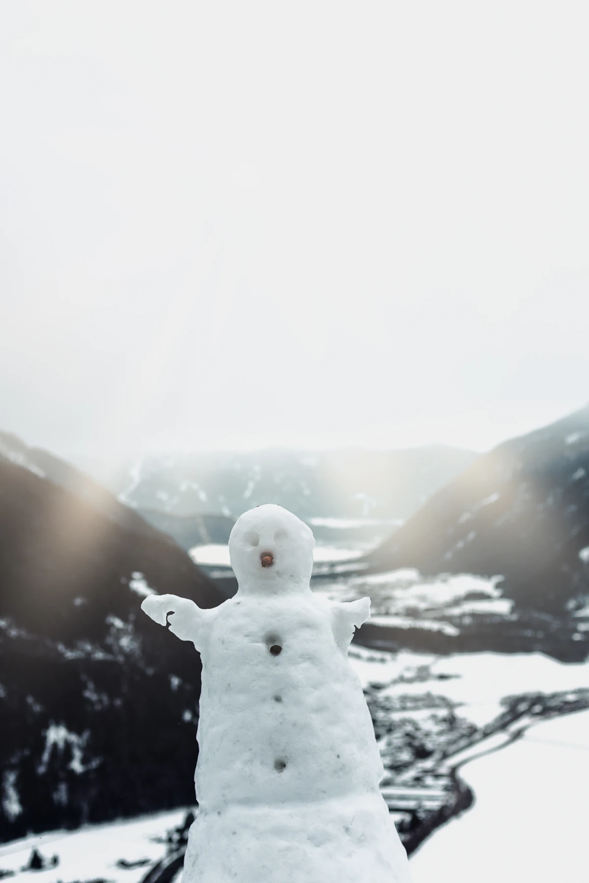SaaS Automation Complete Guide 2026: ROI & Roadmap