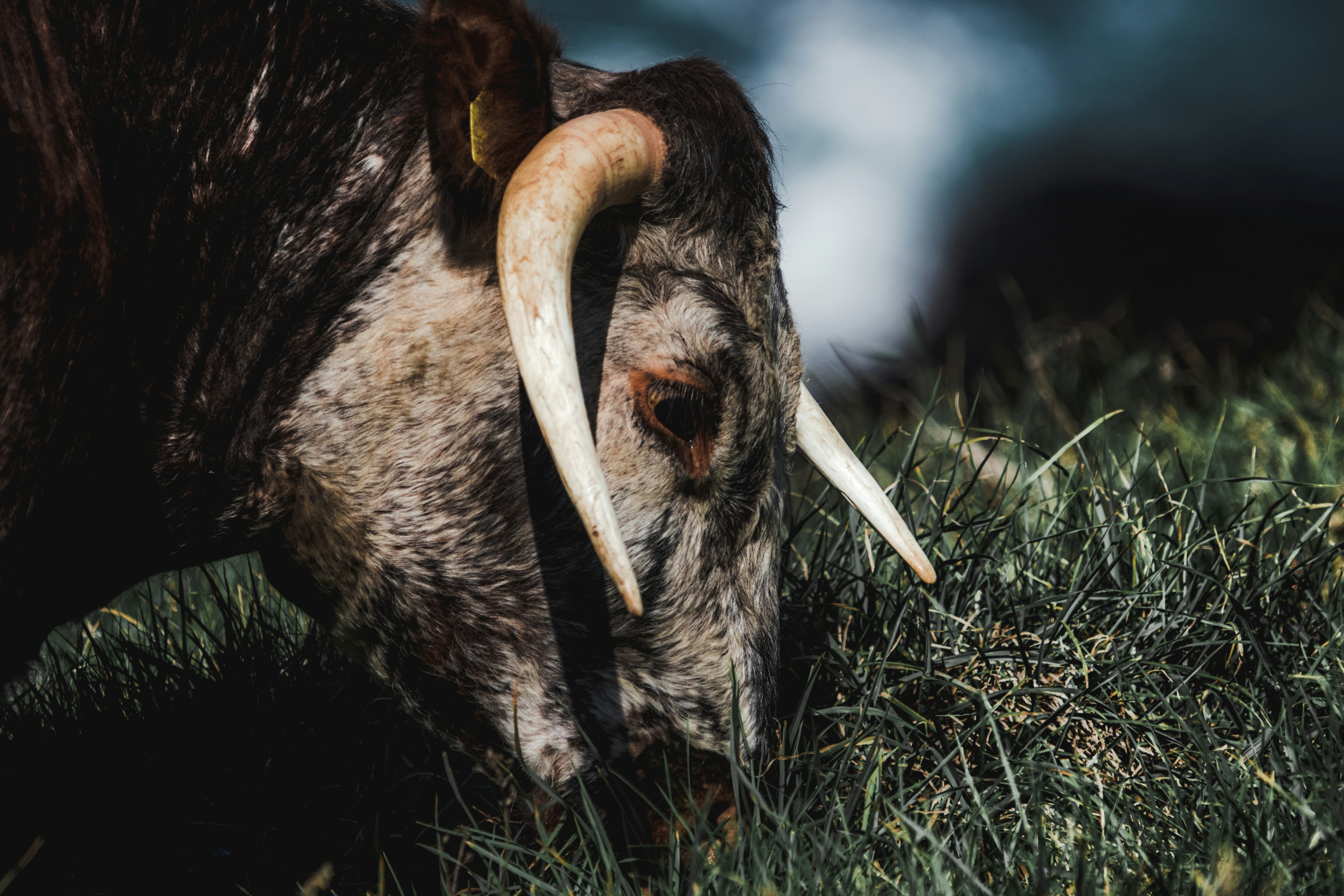 Photo by will_bolding_photography