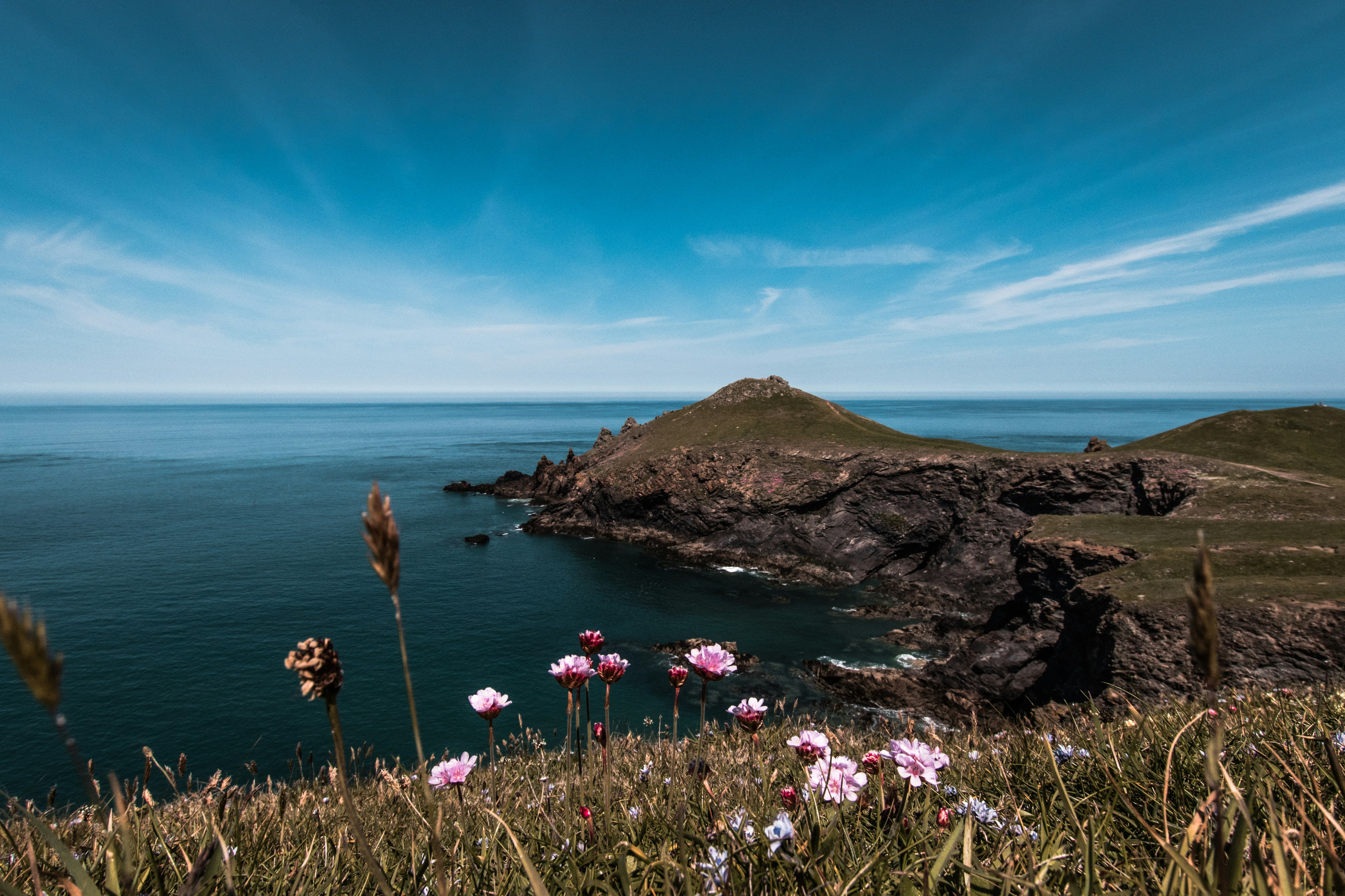 Photo by will_bolding_photography