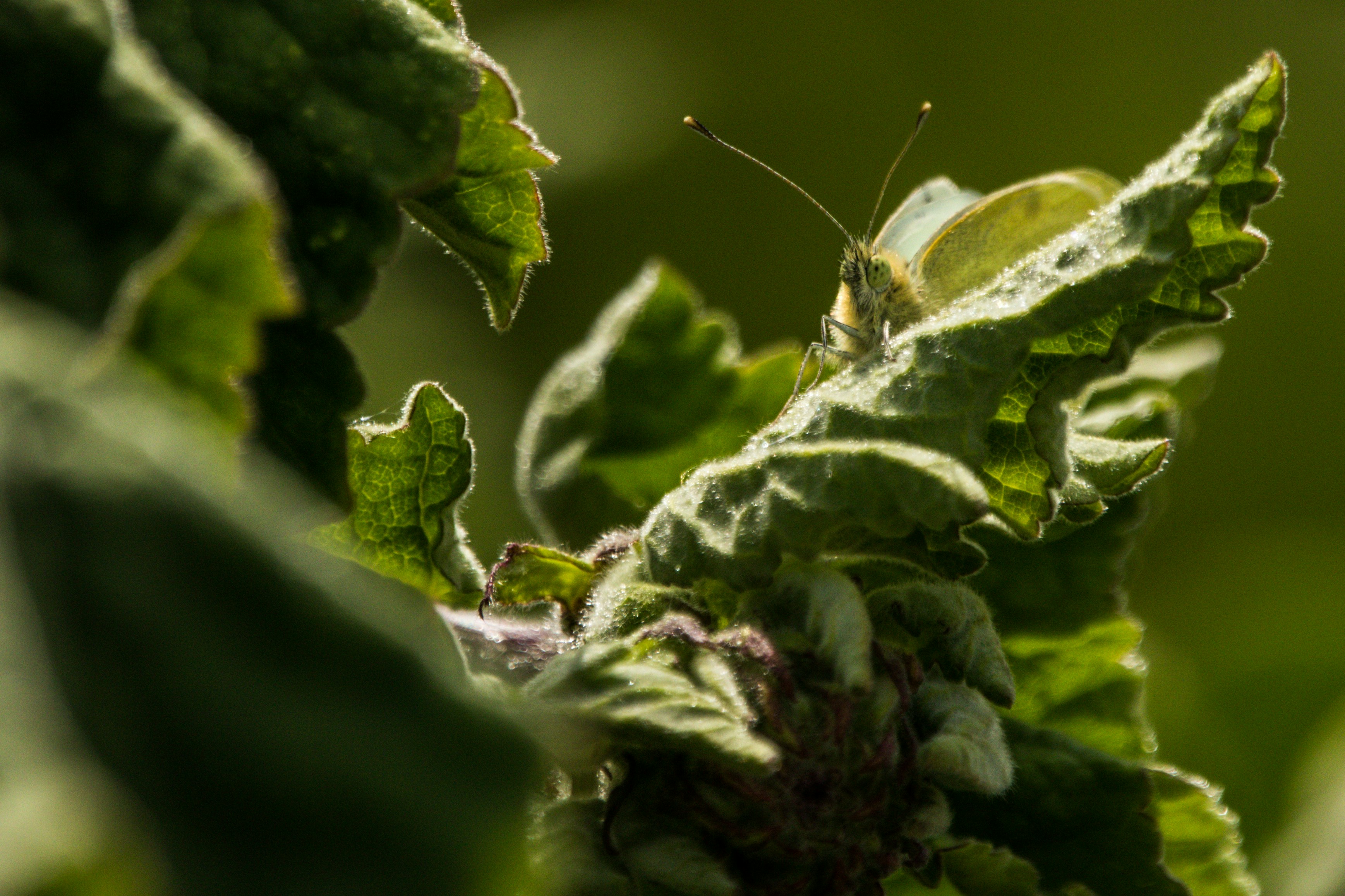 Photo by will_bolding_photography