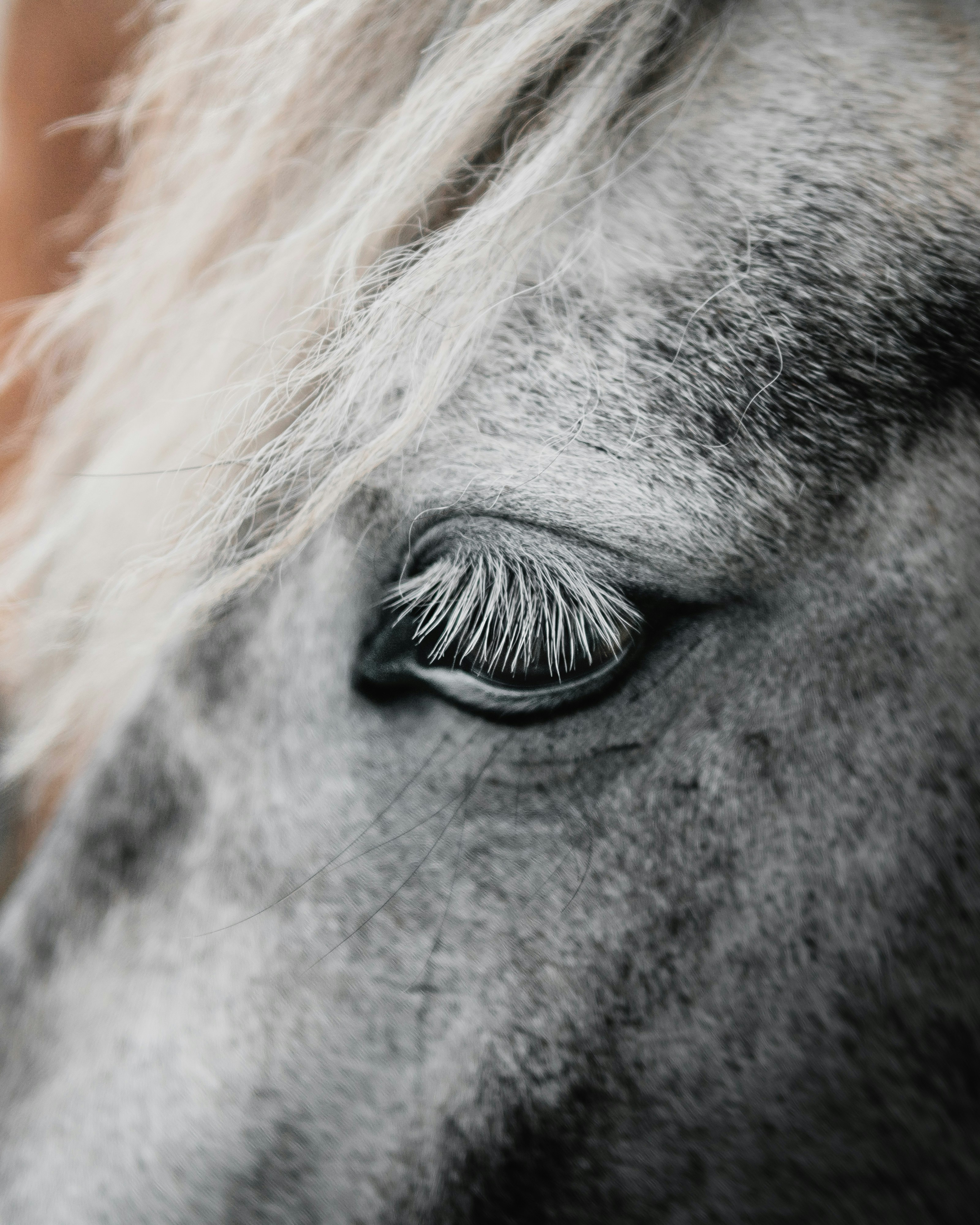 Photo by andriklangfield