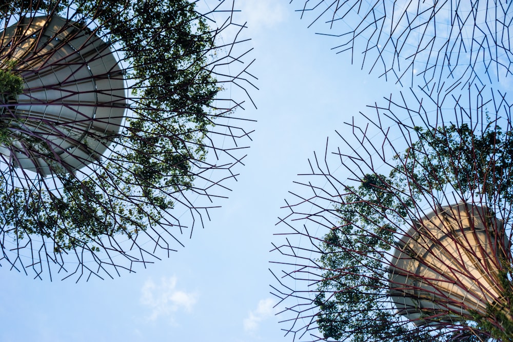 Marina City park photo