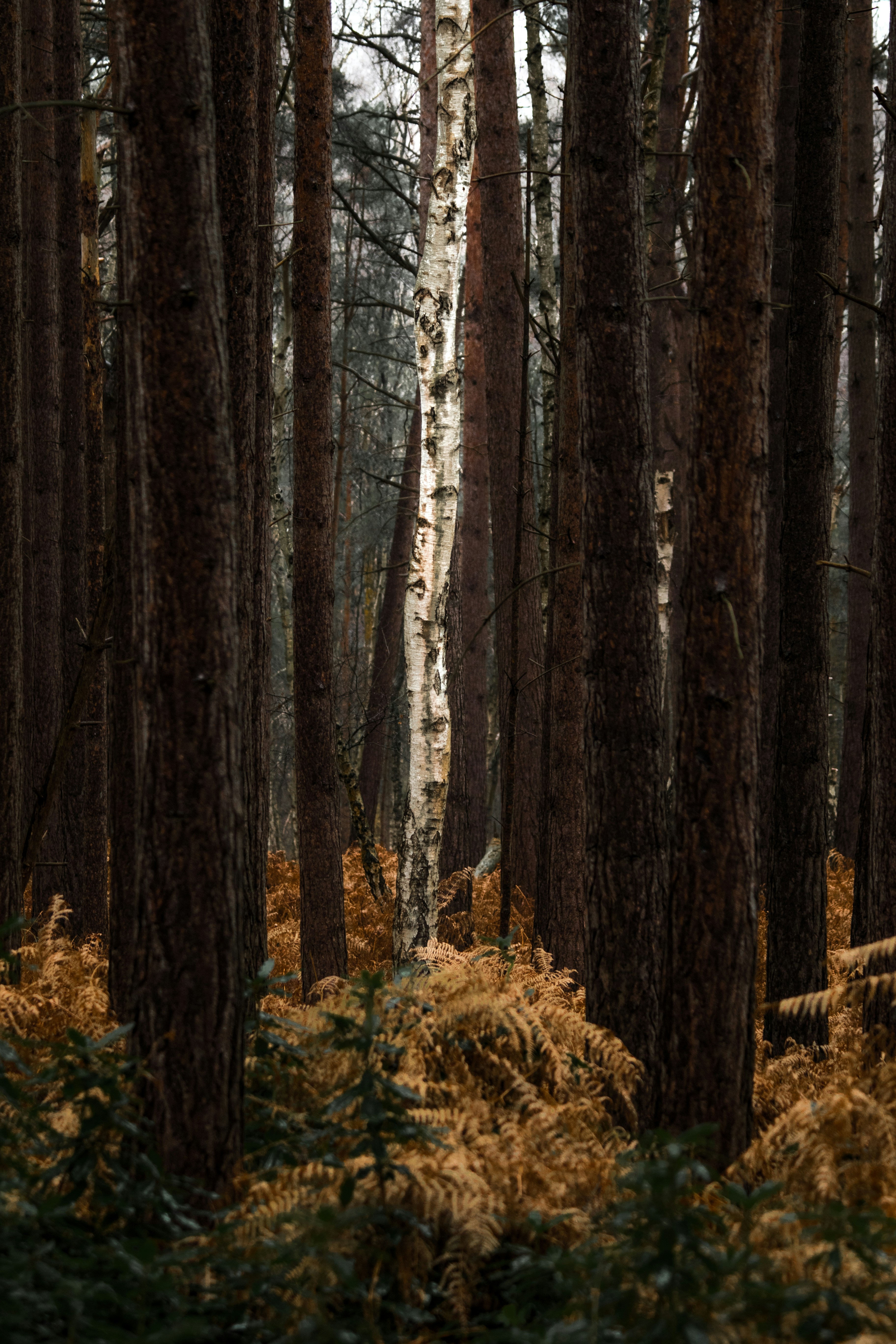 Photo by will_bolding_photography