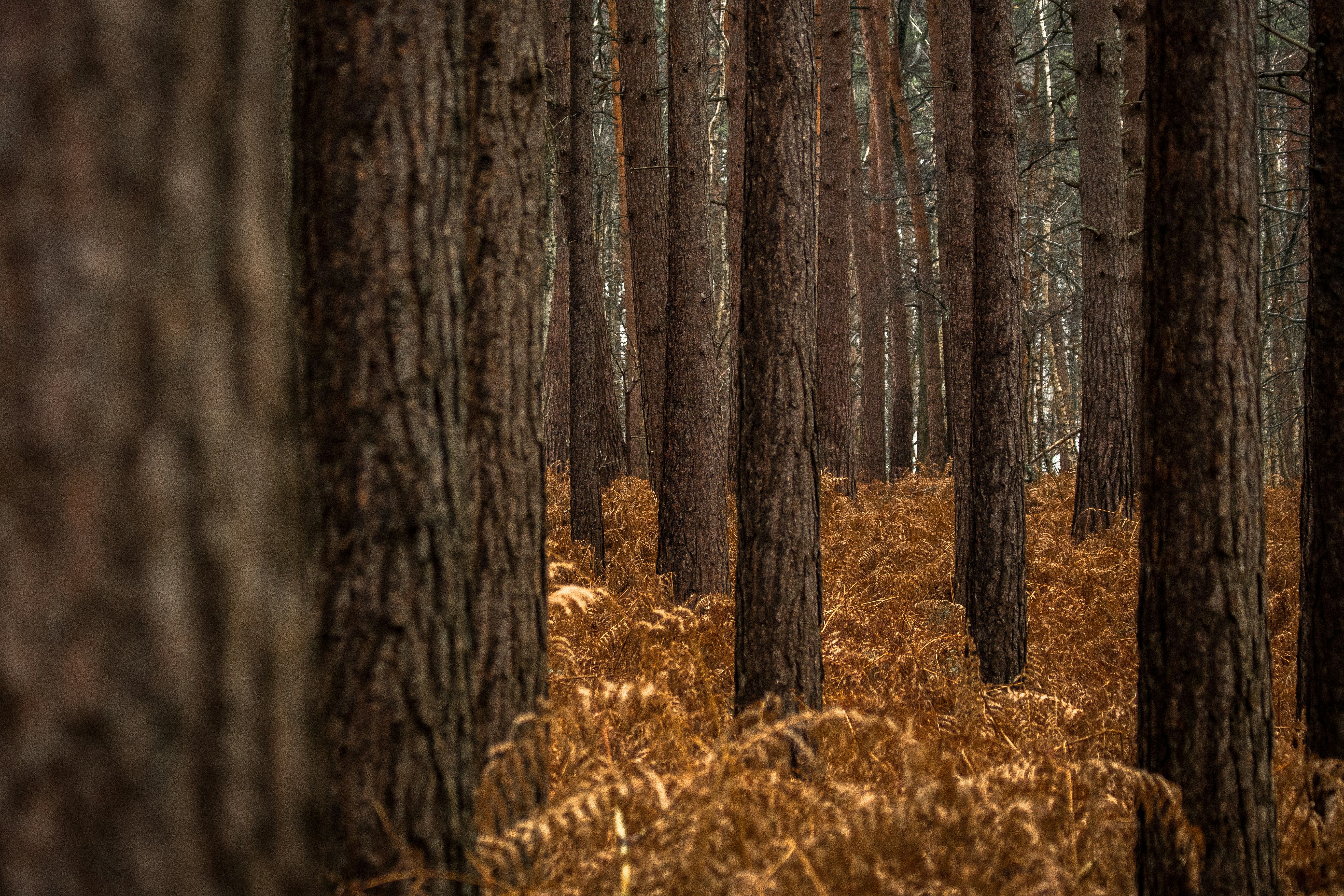 Photo by will_bolding_photography